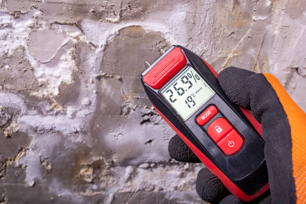 Best Localized Mold Remediation (e.g., coastal areas, humid climates) in Lompoc, CA