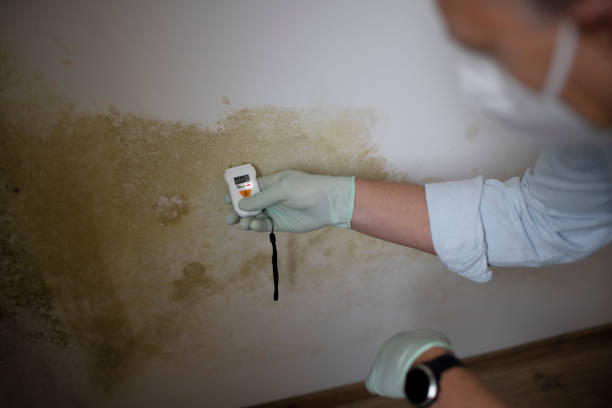 Best Residential Mold Remediation in Lompoc, CA