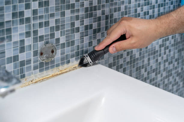 Best Mold Remediation for Schools in Lompoc, CA